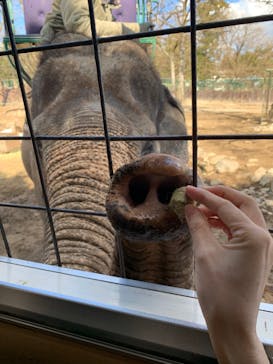 那須サファリパークに投稿された画像（2021/12/5）