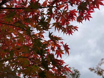 空庭温泉 OSAKA BAY TOWER（オオサカベイタワー）に投稿された画像（2021/12/5）
