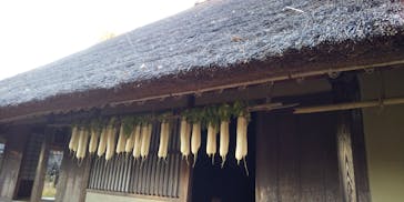 江戸東京たてもの園に投稿された画像（2021/12/5）