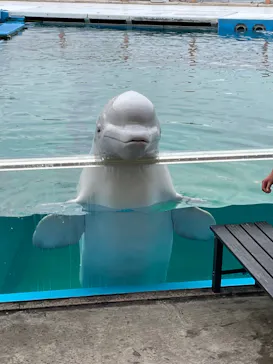 横浜・八景島シーパラダイスに投稿された画像（2021/12/5）