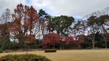 元離宮二条城に投稿された画像（2021/12/5）