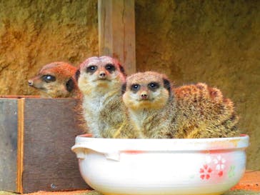 九十九島動植物園森きららに投稿された画像（2021/12/5）