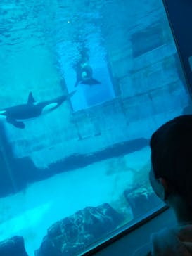 名古屋港水族館に投稿された画像（2021/12/5）