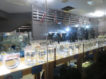 九十九島水族館海きららに投稿された画像（2021/12/5）