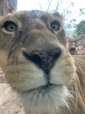 天王寺動物園に投稿された画像（2021/12/5）