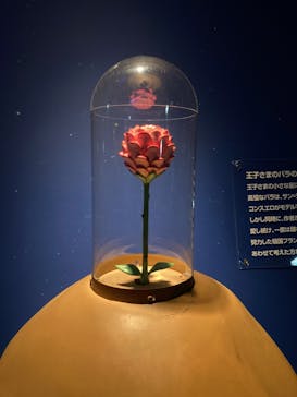 星の王子さまミュージアム 箱根サン=テグジュペリに投稿された画像（2021/12/5）