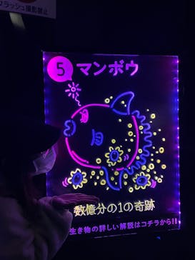 サンシャイン水族館に投稿された画像（2021/12/5）