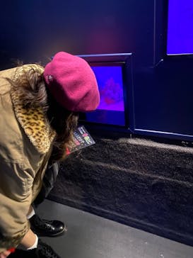 サンシャイン水族館に投稿された画像（2021/12/5）