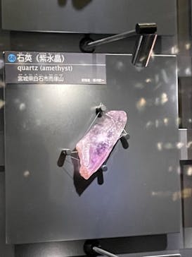 国立科学博物館に投稿された画像（2021/12/5）