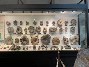 国立科学博物館に投稿された画像（2021/12/5）