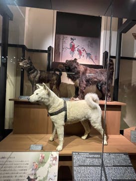 国立科学博物館に投稿された画像（2021/12/5）