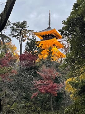 三溪園に投稿された画像（2021/12/5）