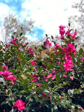 伊豆シャボテン動物公園に投稿された画像（2021/12/5）