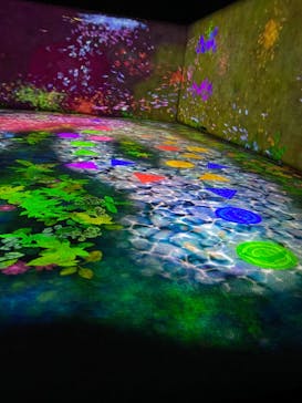 森ビル デジタルアート ミュージアム：エプソン チームラボボーダレスに投稿された画像（2021/12/5）