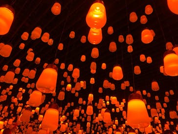 森ビル デジタルアート ミュージアム：エプソン チームラボボーダレスに投稿された画像（2021/12/5）