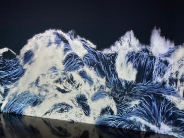 森ビル デジタルアート ミュージアム：エプソン チームラボボーダレスに投稿された画像（2021/12/5）