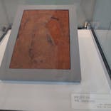 国立科学博物館に投稿された画像（2021/12/5）