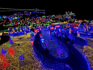 伊豆ぐらんぱる公園に投稿された画像（2021/12/5）