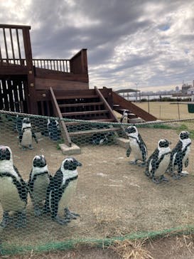 名古屋港水族館に投稿された画像（2021/12/5）