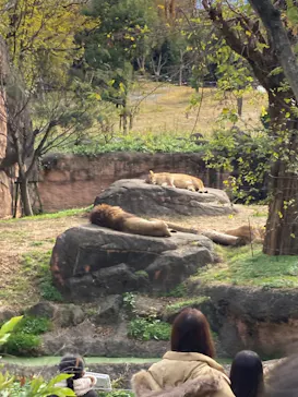 天王寺動物園に投稿された画像（2021/12/5）