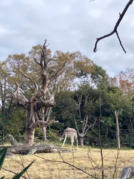 天王寺動物園に投稿された画像（2021/12/5）
