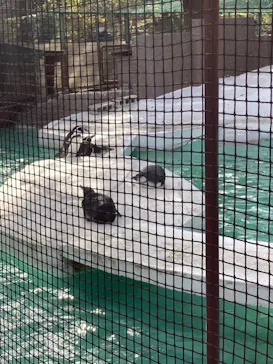 天王寺動物園に投稿された画像（2021/12/5）