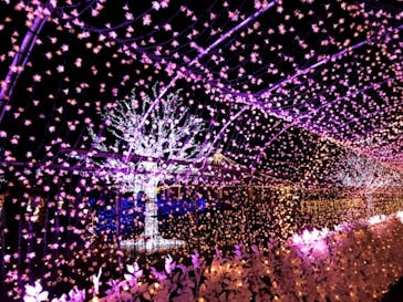 東京メガイルミに投稿された画像（2021/12/5）