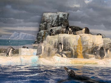 名古屋港水族館に投稿された画像（2021/12/5）