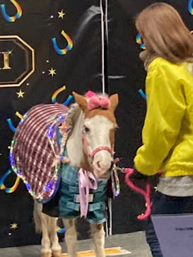 東京メガイルミに投稿された画像（2021/12/5）