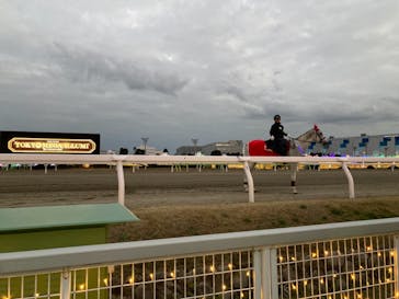 東京メガイルミに投稿された画像（2021/12/5）