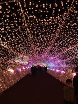 東京メガイルミに投稿された画像（2021/12/5）