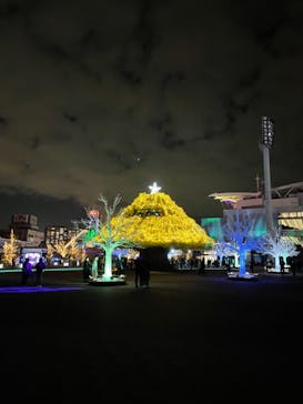 東京メガイルミに投稿された画像（2021/12/5）