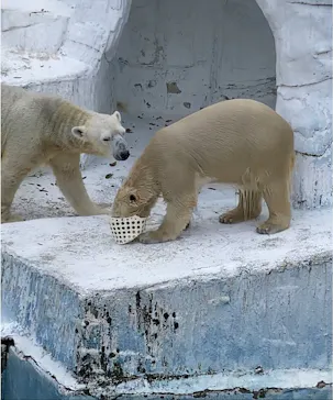 天王寺動物園に投稿された画像（2021/12/5）