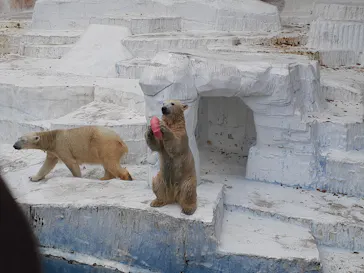 天王寺動物園に投稿された画像（2021/12/5）