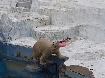 天王寺動物園に投稿された画像（2021/12/5）