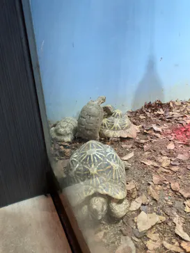 天王寺動物園に投稿された画像（2021/12/5）