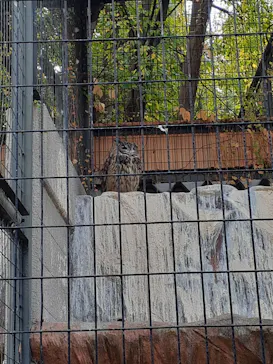 天王寺動物園に投稿された画像（2021/12/5）