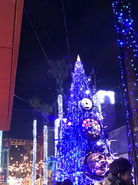 ひらかたパークに投稿された画像（2021/12/5）