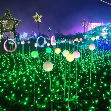 伊豆ぐらんぱる公園に投稿された画像（2021/12/5）