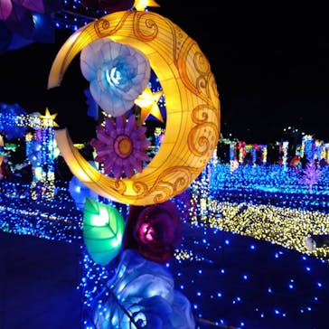 伊豆ぐらんぱる公園に投稿された画像（2021/12/5）