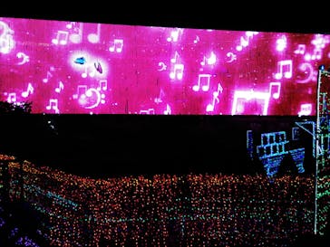 伊豆ぐらんぱる公園に投稿された画像（2021/12/5）