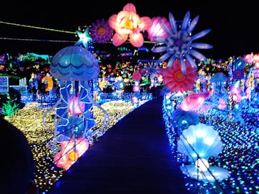 伊豆ぐらんぱる公園に投稿された画像（2021/12/5）