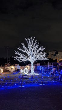 東京メガイルミに投稿された画像（2021/12/5）