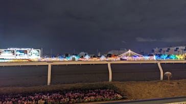 東京メガイルミに投稿された画像（2021/12/5）