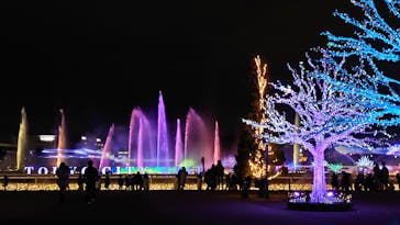 東京メガイルミに投稿された画像（2021/12/5）