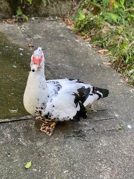 ネオパークオキナワに投稿された画像（2021/12/5）