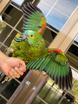 ネオパークオキナワに投稿された画像（2021/12/5）