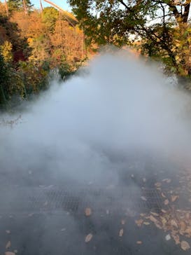 よみうりランド 遊園地に投稿された画像（2021/12/5）