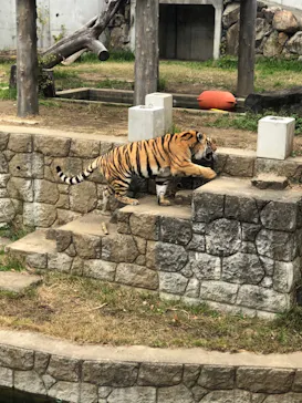 天王寺動物園に投稿された画像（2021/12/5）