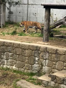 天王寺動物園に投稿された画像（2021/12/5）